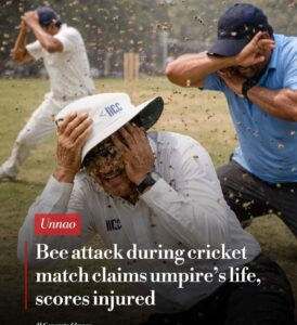 ਮਧੂਮੱਖੀਆਂ ਦੇ ਹਮਲੇ ਵਿੱਚ ਅੰਪਾਇਰ ਦੀ ਮੌਤ, ਇਹ ਖ਼ਬਰ ਸੱਚੀ ਹੈ — ਕੋਈ ਅਫ਼ਵਾਹ ਨਹੀਂ